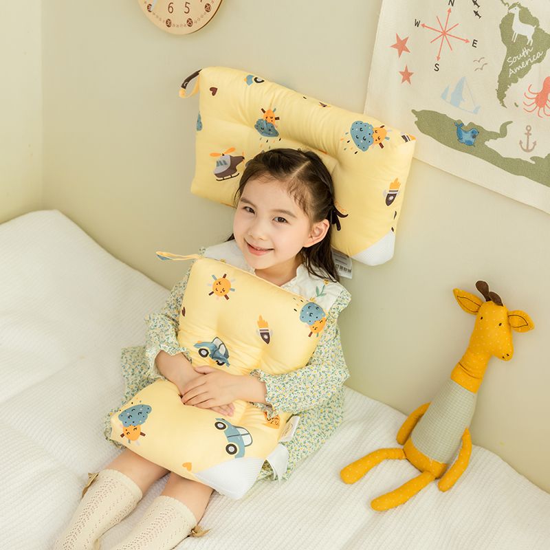 Children's Washable Pillow-Dinosaur Age