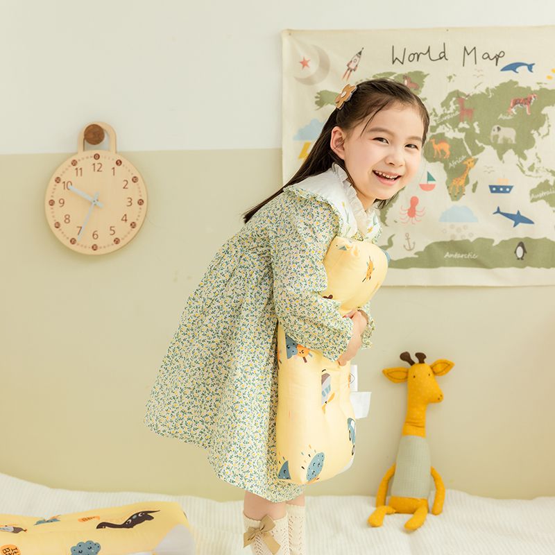 Children's Washable Pillow-Dinosaur Age