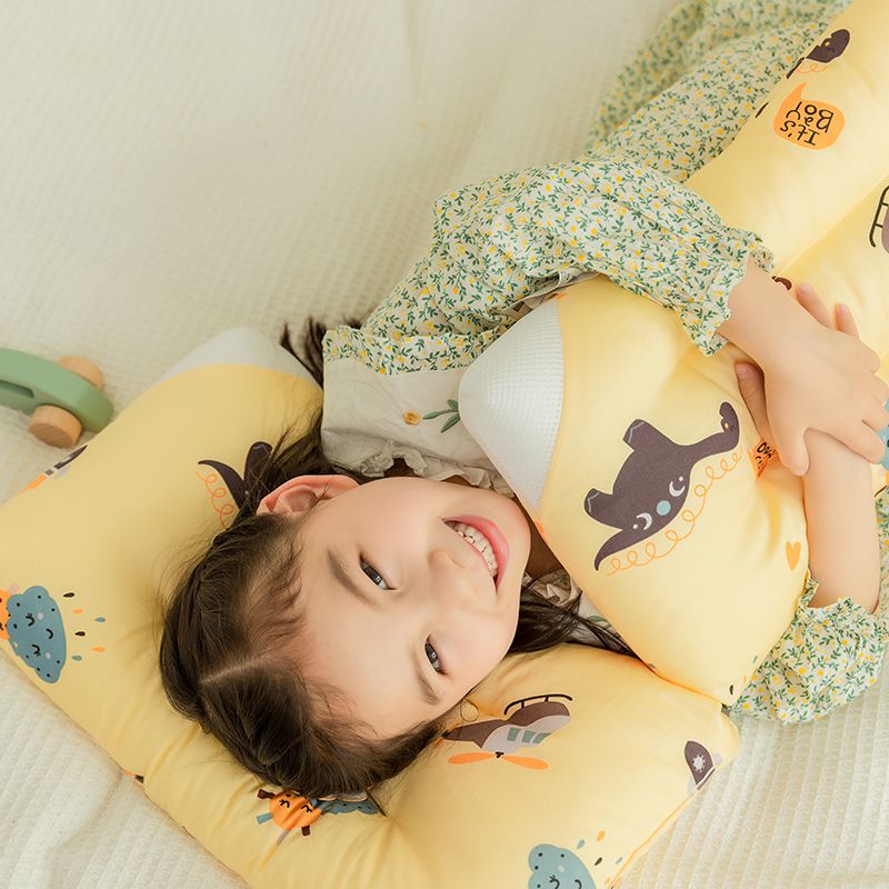 Children's Washable Pillow-Dinosaur Age