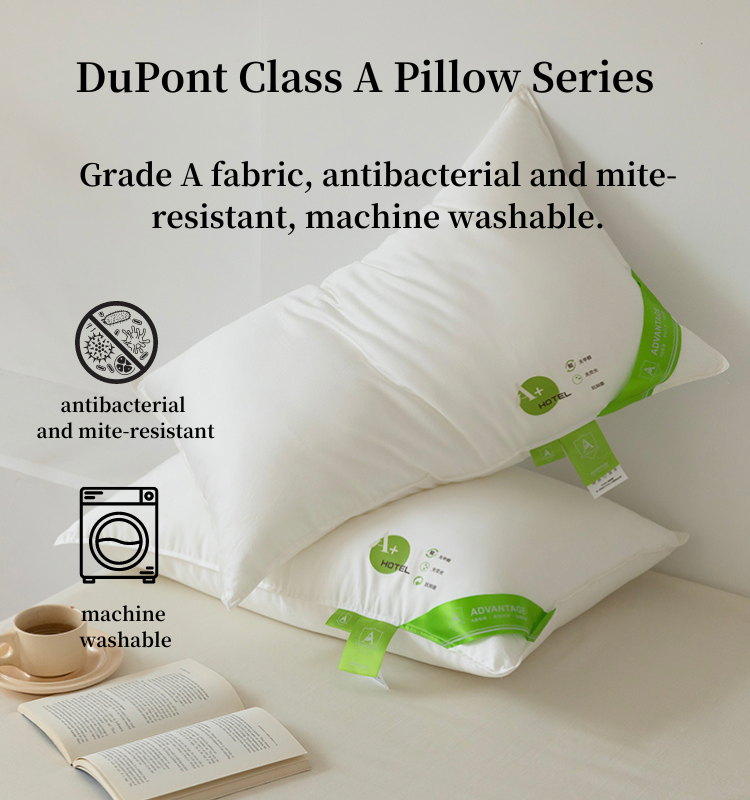 DuPont Class A Series Organic Cotton Pillow(图1)